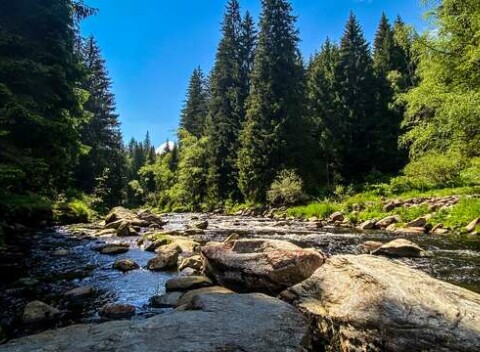 Najväčšie konopné kúpele v Európe s polpenziou v Hoteli Bobík s vlastným minipivovarom aj variantmi s all-inclusive nápojmi