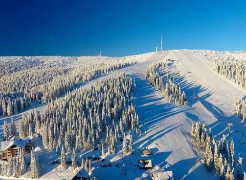 Celodenný skipas do lyžiarskeho strediska Winter Park Martinky na Martinských holiach