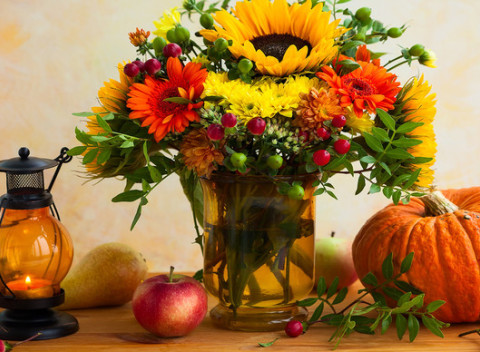 Potešte sestru, mamu či manželku kyticou zo sezónnych kvetov. Kytice doručované po celom Slovensku.