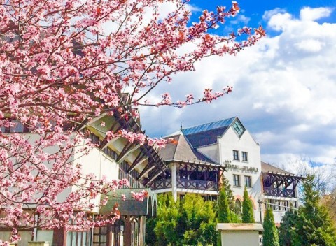 Eger v Hoteli Flóra *** prepojenom s termálnymi kúpeľmi s polpenziou a wellness.