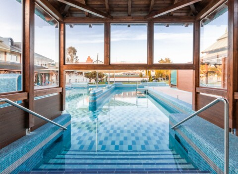 Thermal Hotel Mosonmagyaróvár *** prepojený s termálmi Flexum s neobmedzeným vstupom + wellness a polpenzia