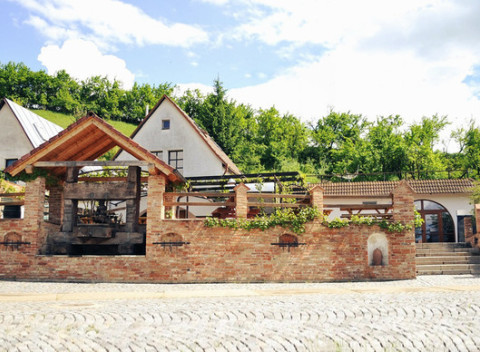 Vinársky raj na južnej Morave s ubytovaním, polpenziou, degustáciou a fľašou vína ako darček.