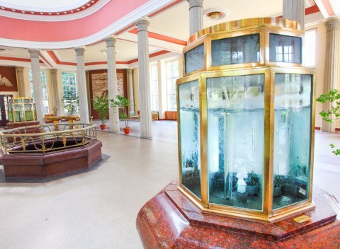 Františkovy Lázně v Penzióne Hortenzie so vstupom do Aquafora a polpenziou.