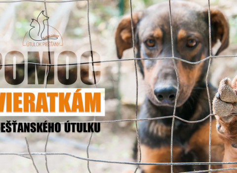Pomôžte psíkom a mačičkám v Útulku Piešťany - venujte symbolické 1 € alebo balenie granúl.