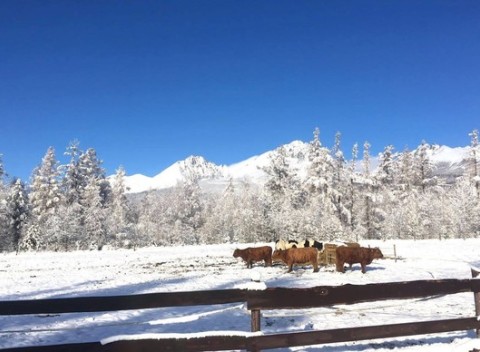 Štýlový Nový rok s príjemným wellness v novootvorenom 4* hoteli pod tatranskými štítmi.