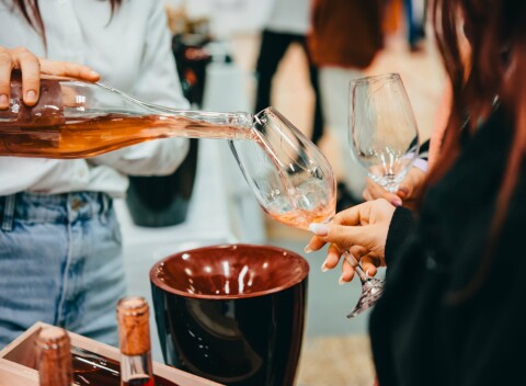 Znojmo pri Národnom parku Podyjí v Penzióne Blanka s polpenziou, vínom a a balíčkom zliav + vonkajší bazén