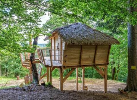 Zážitkové ubytovanie v domčeku na strome pre 2 osoby s raňajkami a možnosťou wellness