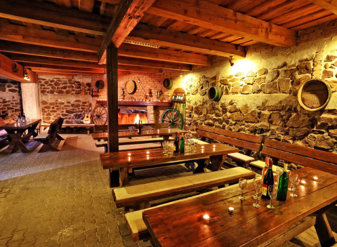 Južná Morava v penzióne vo vinárskej obci pri Znojme s degustáciou, vínom, polpenziou a 2 výletmi.