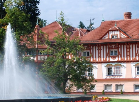 Hotel Litovel*** Luhačovice, najkrajšie moravské kúpele s polpenziou a masážou.