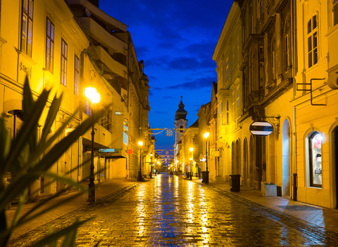 Populárny Győr v rodinnom hoteli len kúsok od historického centra s raňajkami.