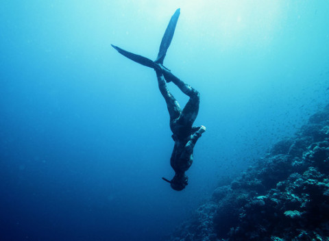 Ochutnávka prístrojového potápania alebo freedivingu - 60 min. teórie a 60 min.v bazéne.