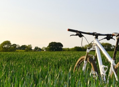 Južná Morava s neobmedzenou konzumáciou vína v hoteli Weiss s polpenziou a vstupom na rozhľadňu.