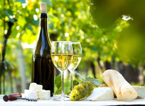 Južná Morava: Penzión Pálava - neobmedzená konzumácia sudového vína a polpenzia.