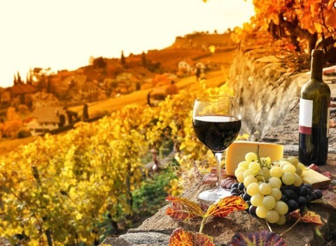 Južná Morava: vinársky pobyt v ocenenom hoteli Weiss *** s polpenziou.