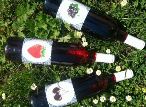 Špeciálna edícia 3 ovocných slovenských vín - ríbezľové, jahodové a višňové víno.