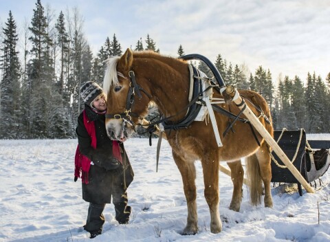 Vysoké Tatry a NP Slovenský raj: Vrbov v Penzióne Limbový dvor s raňajkami a vstupom do termálnych kúpeľov