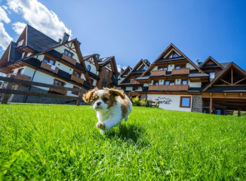 Perfektne ohodnotený poľský hotel Zawrat s neobmedzeným wellness 2 km od Termy Bania.