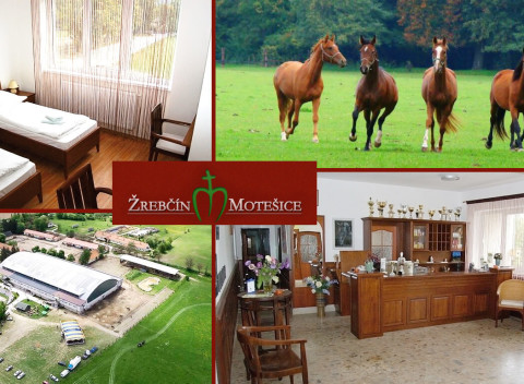 Pobyt pre 2 v penzióne Žrebčín Motešice blízko mesta Trenčín s možnosťou jazdy na koni či na koči.