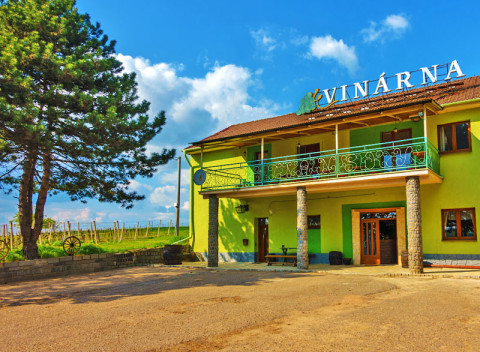 Južná Morava v penzióne s degustáciou a fľašou vína či polpenziou + platnosť do februára 2020.