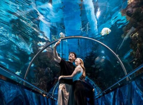 Výlet do ZOO Budapešť a Tropicaria s cestovnou kanceláriou Travelholic