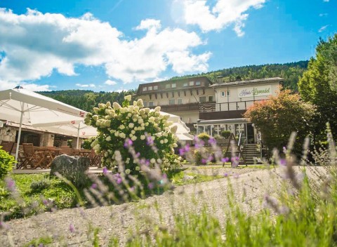 Rakúsko: Hotel Haus Lavendel pri jazere so súkromnou plážou a polpenziou.