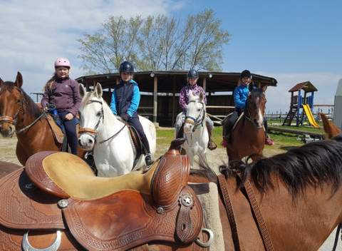 Detský tábor s jazdou na koňoch a celodenným vstupom do Aquaparku v Turčianskych Tepliciach.