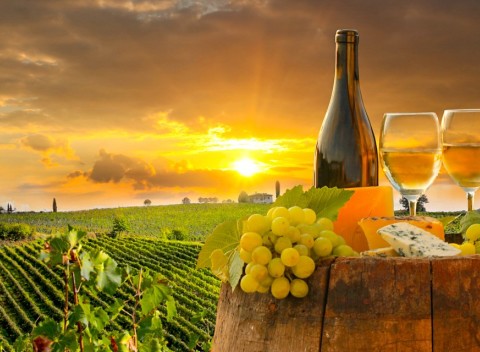 Znojmo: vinársky pobyt v Hoteli Bax *** s polpenziou a zľavou do termálov.