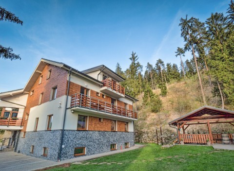 Nízké Tatry v De Luxe apartmáne vo Vile Vista s raňajkami a fínskou kaďou.