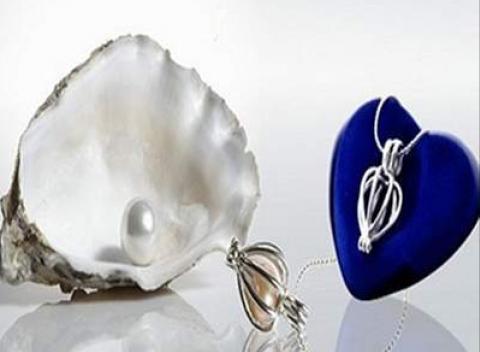 Perla prianí v perlorodke Darujte prekvapenie, ktoré udrží svoje tajomstvo