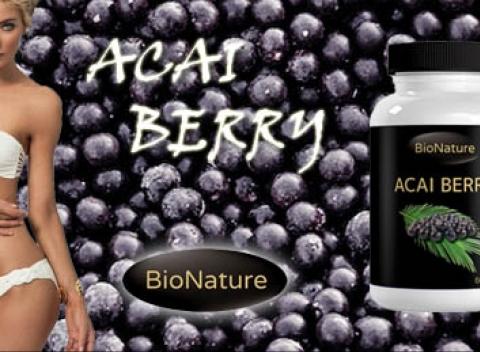 Acai BERRY- prírodný zázrak Jeden z najsilnejších antioxidantov na svete 