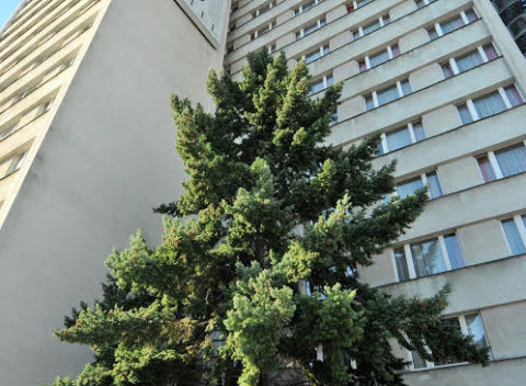 Víkend pre dvoch s raňajkami v Prahe za super cenu - hotel Juno.