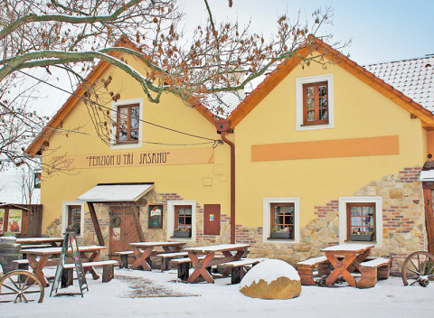 Južná Morava v penzióne vo vinárskej obci Nový Šaldorf pri Znojme s wellness, raňajkami či polpenziou.