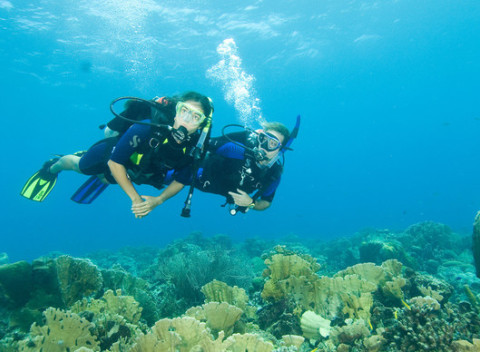 Kurz potápania pre začiatočníkov a pokročilých v potápačskom centre Academia Aquatica.