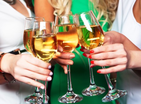 Južná Morava: rozlúčka so slobodou pre 6 osôb s polpenziou, rautom a vínom.