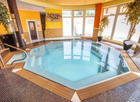 Neobmedzený wellness pobyt za super cenu a s dieťaťom zdarma v penzióne Viktória.