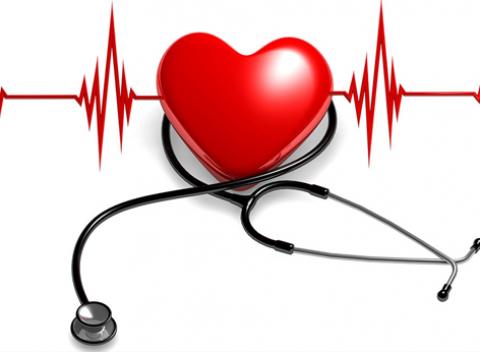 Diagnostika zdravia  Frekvenčná terapia, regenerácia organizmu