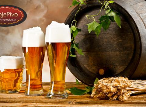 Malý domáci pivovar BASIC Pre radosť každého milovníka zlatistého moku 