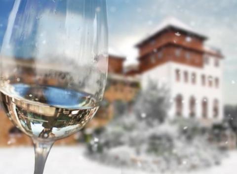 Skvelý relax na Morave Wellness pobyt s ochutnávkou vína v Kurdějove 