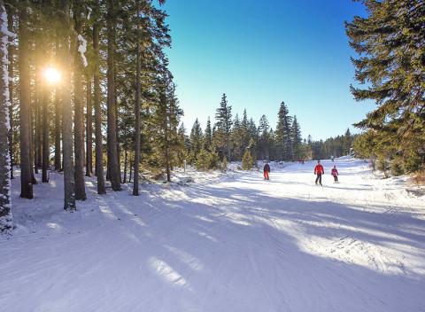 Jeseníky v hoteli v obci Vrbno pod Pradědem neďaleko ski areálov s polpenziou.