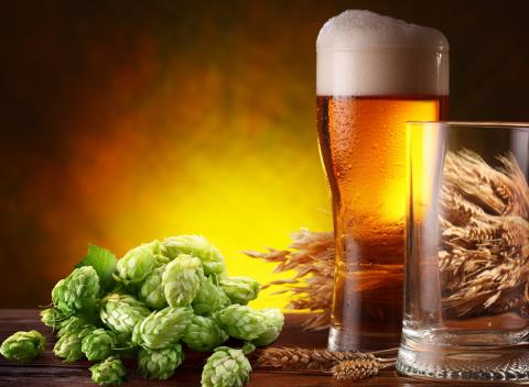 Last minute pobyt pre DVOCH na 3 dni (2 noci) v krásnom podhorí Beskýd. Neobmedzená konzumácia výborného piva, relax vo wellness!