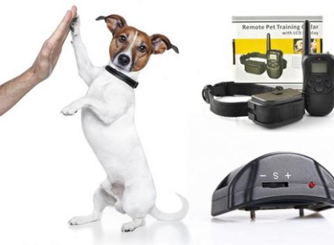 Naučte svojho štvornohého miláčika poslušnosti s protištekacím a výcvikovým obojkom Petrainer. Ľahká a účinná pomôcka pre všetky plemená.