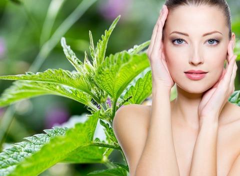 Luxusná žihľavová kúra pre vašu pleť. Žihľava je plná výživných látok, vďaka ktorým má blahodarné účinky na ľudské zdravie.