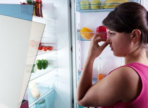 Prírodný pohlcovač pachov KLIN-TEC vás zbaví akýchkoľvek nepríjemných pachov v domácnosti. Podložka je bezpečná a bez chémie.