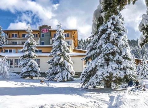 Prežite fantastickú zimnú dovolenku v Relax Hoteli*** Avena v Jánskej Doline a skvelú lyžovačku v stredisku Opalisko. 