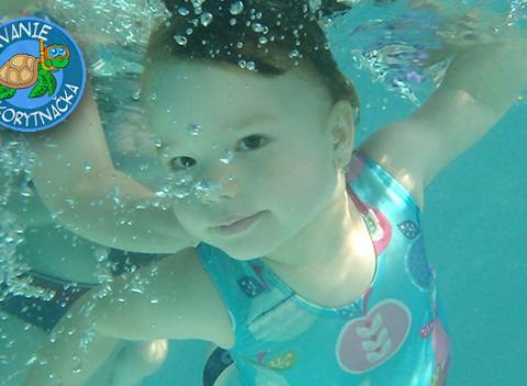 Jednorazový vstup na plávanie v detskom plaveckom centre KORYTNAČKA. Potešte vaše dieťatko hodinou plnou zábavy a radosti.