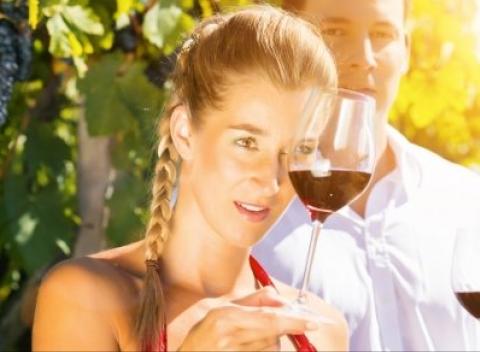 Užite si pobyt na Južnej Morave v penzióne Na Mlatě. Navštívte rozprávkový zámok Vranov alebo vinárske mesto Znojmo