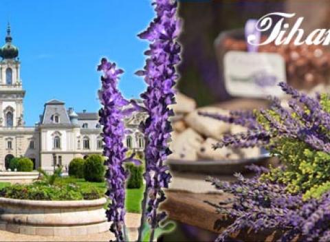 Zažite atmosféru Provensálska bližšie než si myslíte! Nemusíte cestovať do ďalekého Francúzska, navštívte s nami Levanduľový festival.