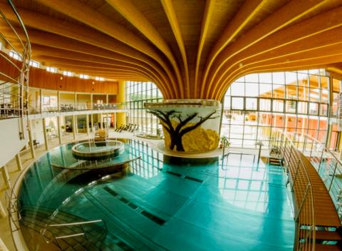 Vďaka pobytu v termálnych kúpeľoch Podhájska zabudnete na každodenný stres. Pobyt pre dvoch na 4 a viac dní v súkromnom apartmáne.