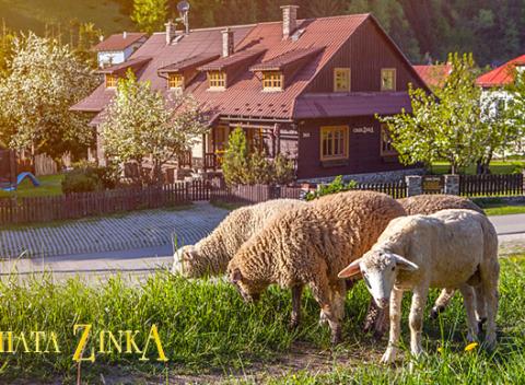 Pokoj v horách v chate Zinka pre 4 až 6 osôb s neobmedzeným wellness. Ideálna pre rodinu či partiu priateľov, ktorá chce čas stráviť zaujímavo.