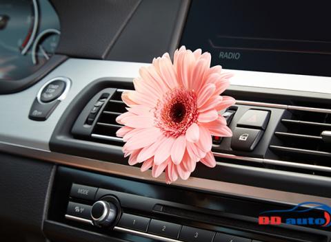 Kompletný servis a dezinfekcia klimatizácie vášho automobilu. Zdravšie prostredie bez baktérií a plesni vo vnútri auta.